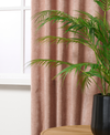 Liverpool Altrosa 701