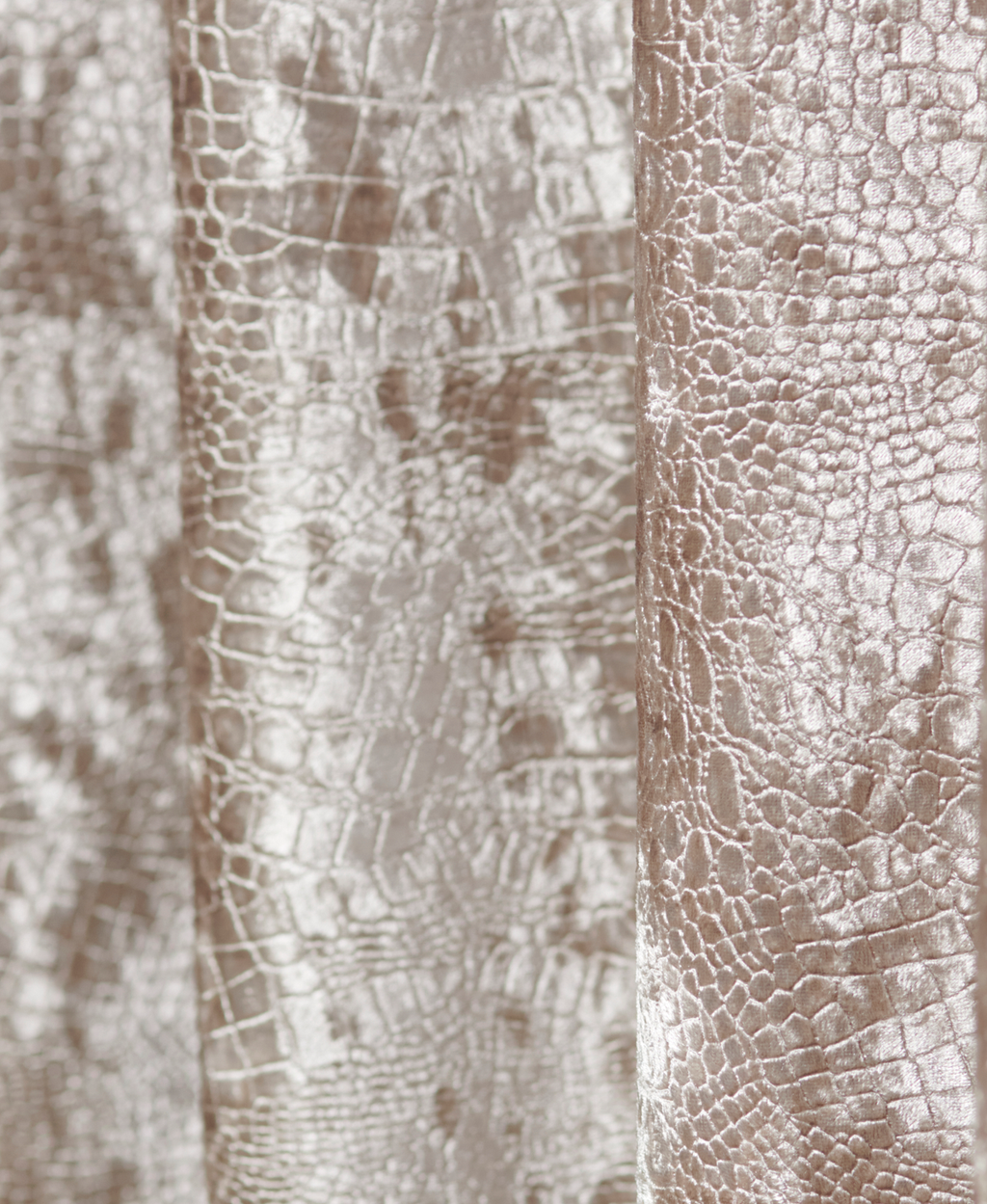 Velvet Kroko Champagne 8